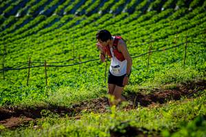 BIB: 100
                            <button type="button" onclick="openModal(19160489)" class="btn btn-primary btn-sm float-right btn-popup" data-toggle="modal" data-target=".modal-high-quality">
                        <i class="fas fa-shopping-cart"></i> Add to Cart
                    </button>
                                            <button type="button" onclick="isThisMe(19160489, true)" class="btn btn-success btn-sm float-right btn-popup btn-isme hidden" data-toggle="tooltip" data-placement="bottom" title="นี่คือรูปของคุณใช่ไหม คลิกที่นี่เพื่อเอาเข้าอัลบั้ม">
                        <i class="fas fa-plus"></i> Add to album
                    </button>
                    <button type="button" onclick="isThisMe(19160489, false)" class="btn btn-warning btn-sm float-right btn-popup btn-isnotme hidden">
                        <i class="fas fa-ban"></i> Remove from album
                    </button>